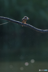 そして、いただきまーす♡