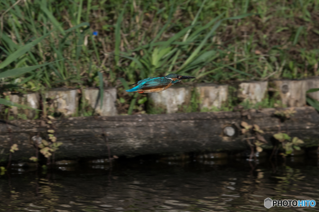 弾丸のごとく！