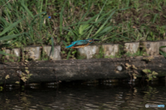 弾丸のごとく！