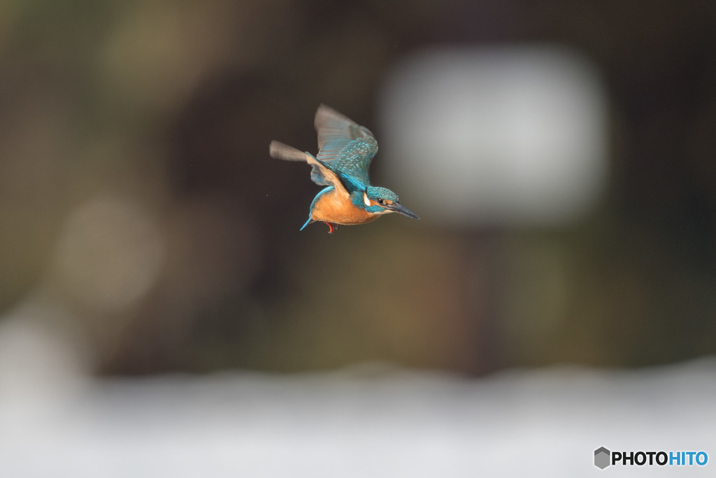 雪原での飛び物
