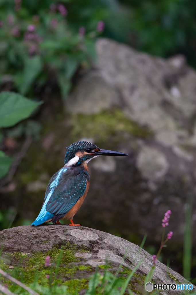 そこはかとなく秋