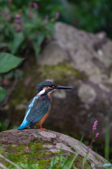 そこはかとなく秋