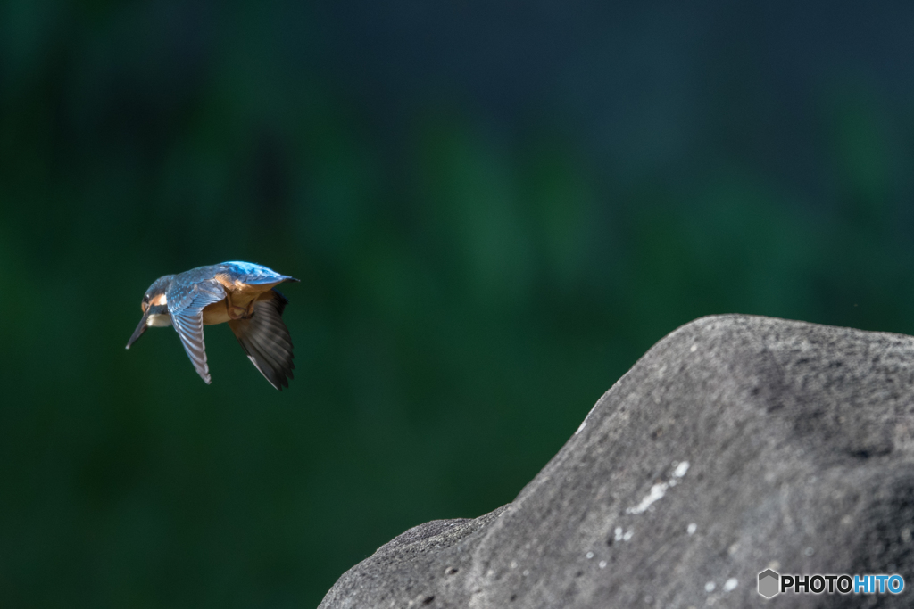 バイバイ (@^^)/~~~