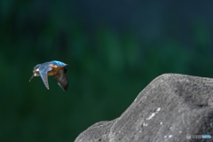 バイバイ (@^^)/~~~