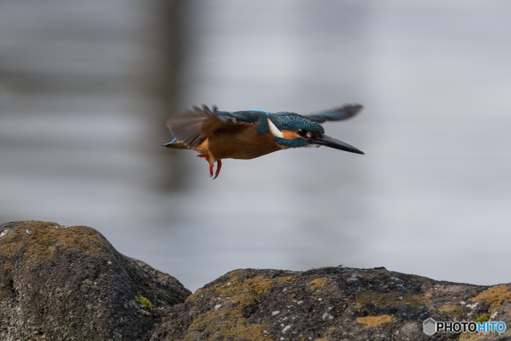 ほかに行ってみよう