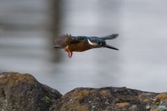 ほかに行ってみよう