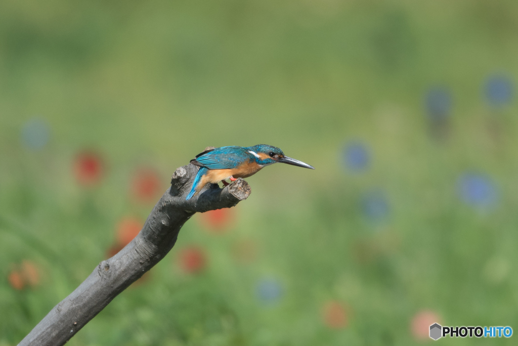 前からの強風に耐えて