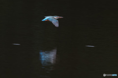 ブルーインパルス