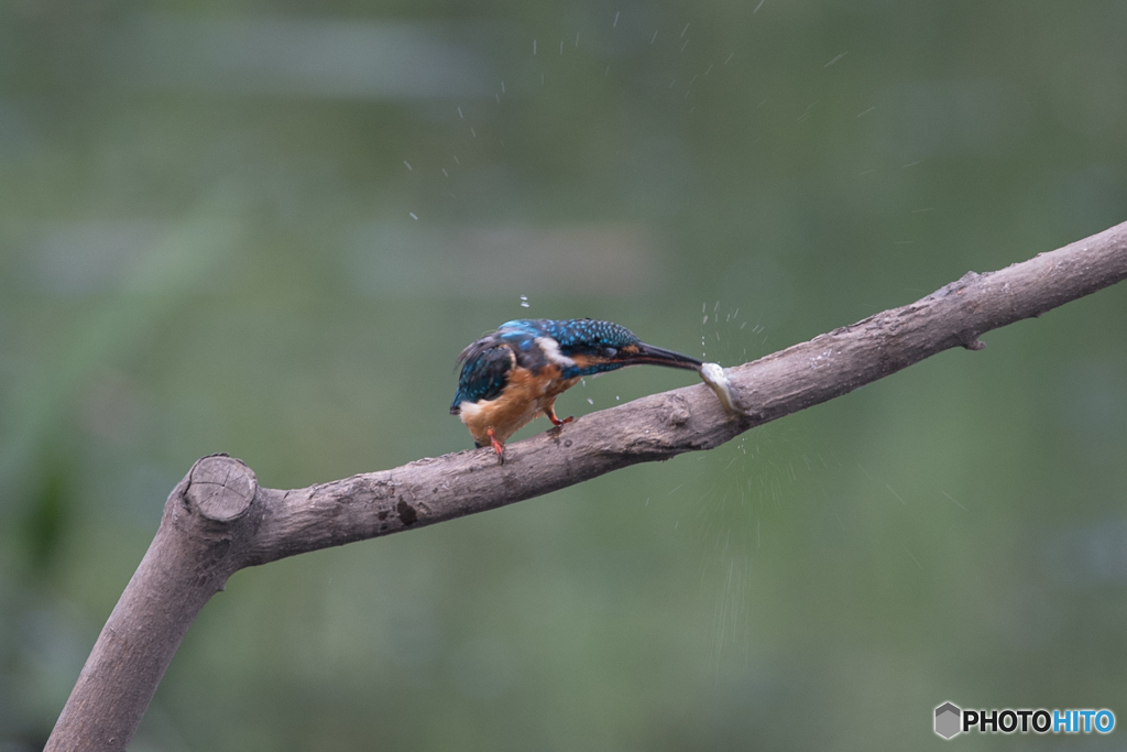 ３秒クッキング