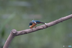 ３秒クッキング