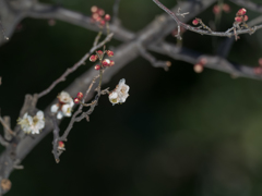 冬、春同居