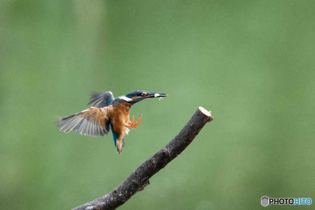 おやつゲット♡