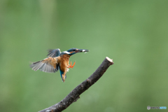 おやつゲット♡