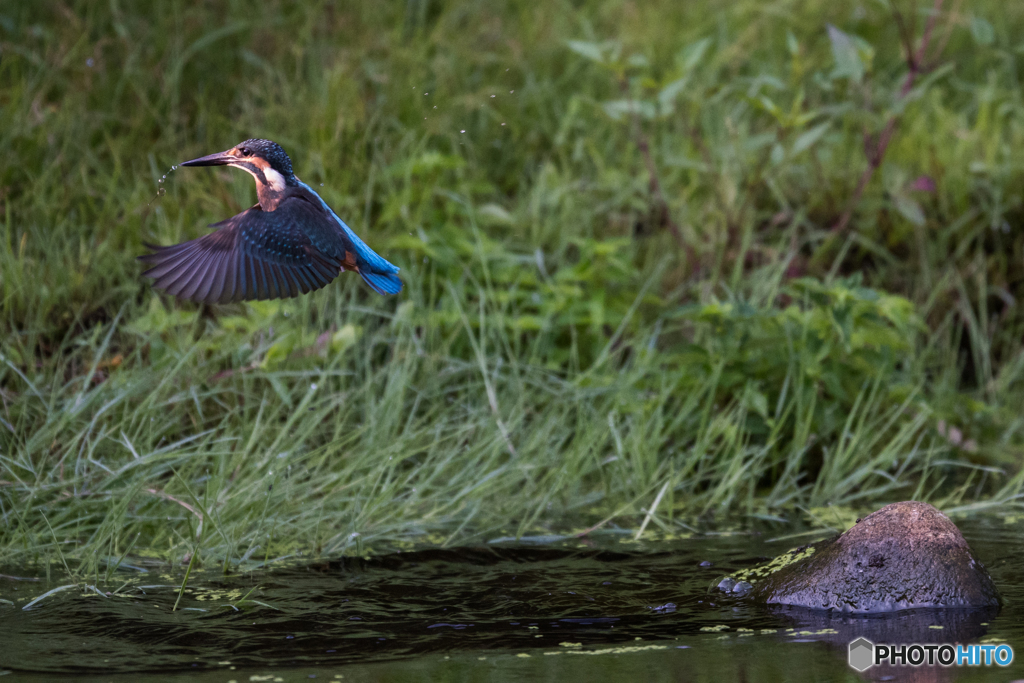 スポットライトを浴びて