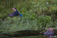 スポットライトを浴びて
