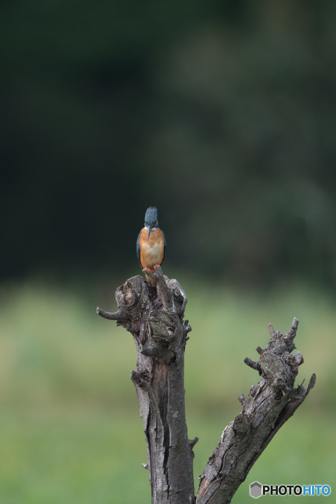 見も細る思いで