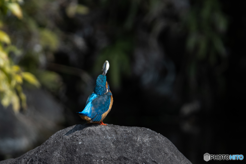 これ、どう？♡