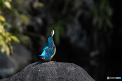 これ、どう？♡