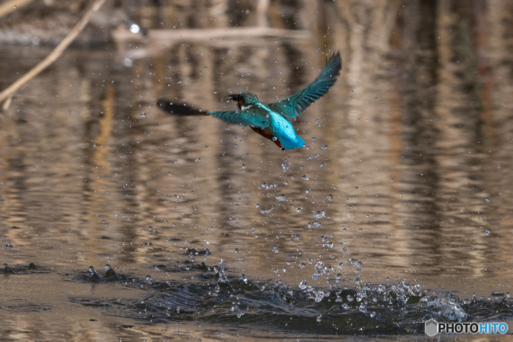 飛沫を振り払い