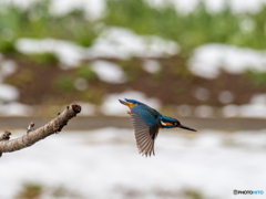 スタートダッシュ