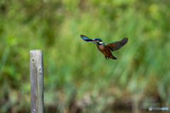 エアーブレーキ