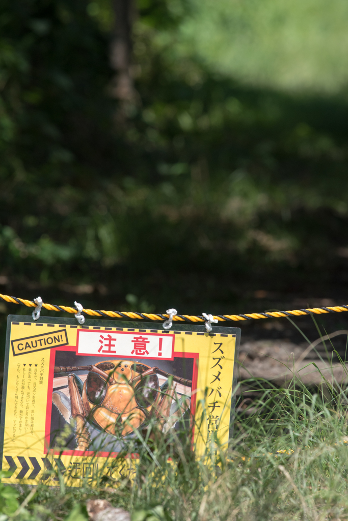 この先、お気に入りの場所なのに…