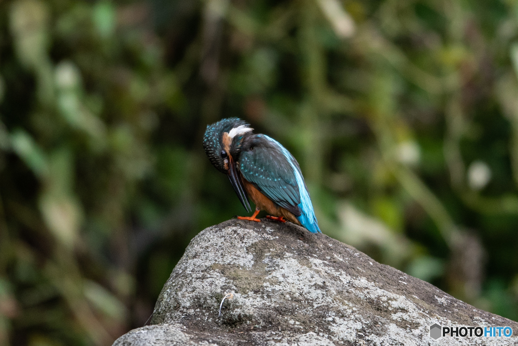 足元が気になる