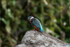 足元が気になる