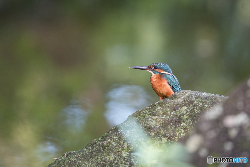 すっきりイケメン♡