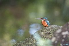 すっきりイケメン♡