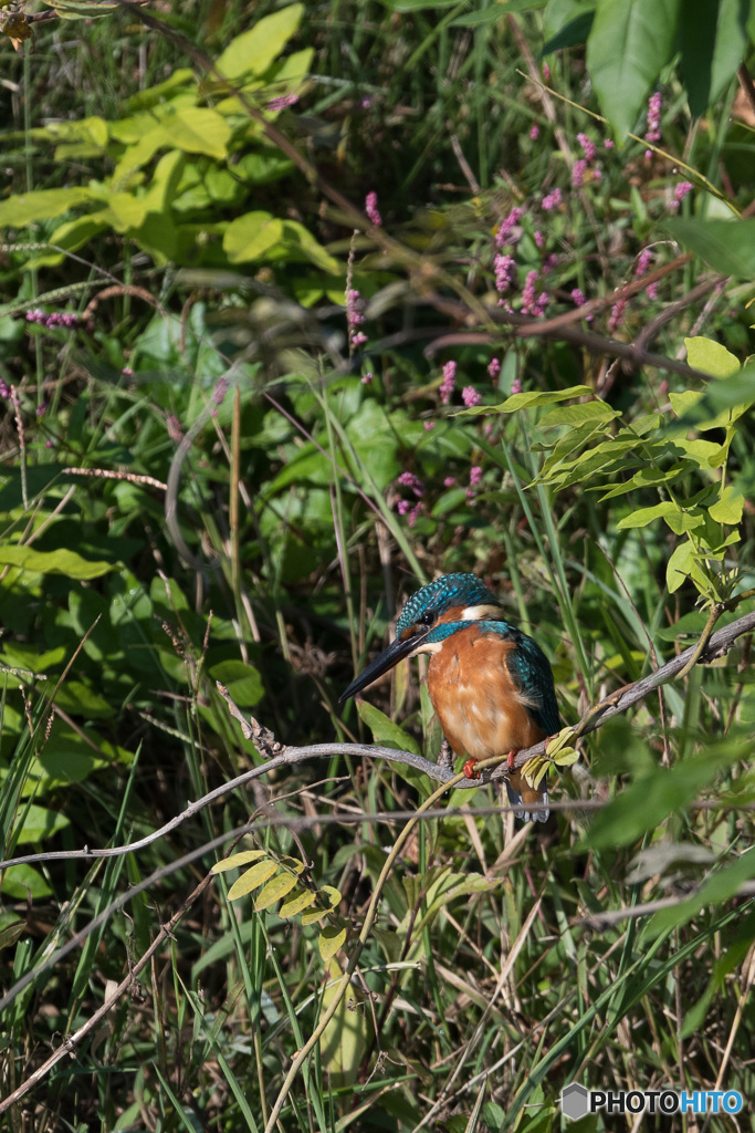 今日は自然をバックに