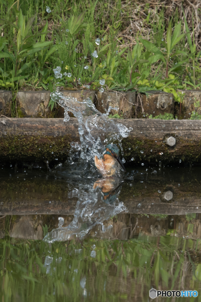 やっと追いつけたけど…