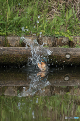 やっと追いつけたけど…