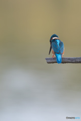 背中越しでも鋭い瞳