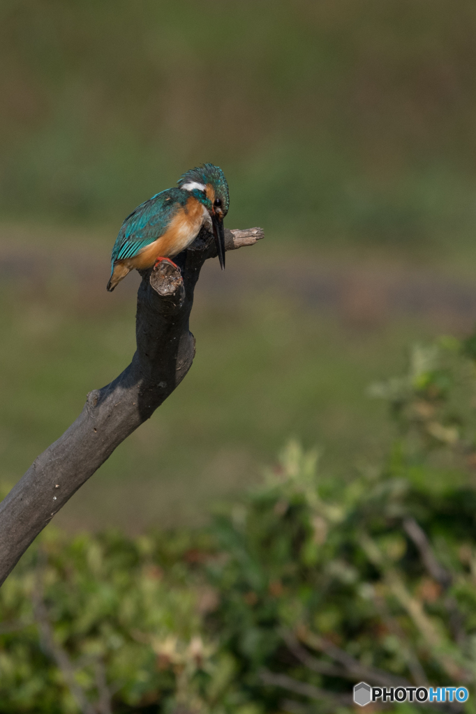 よし、今日も頑張るぞ