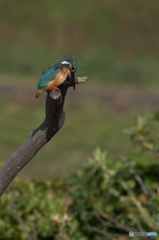 よし、今日も頑張るぞ