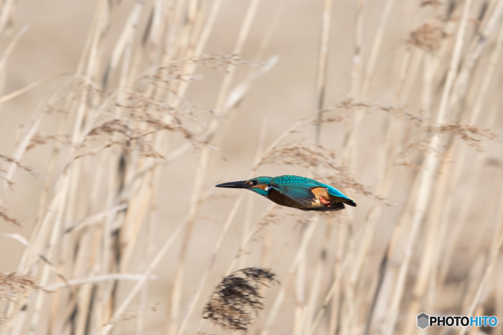 空気を切り裂く