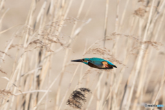 空気を切り裂く