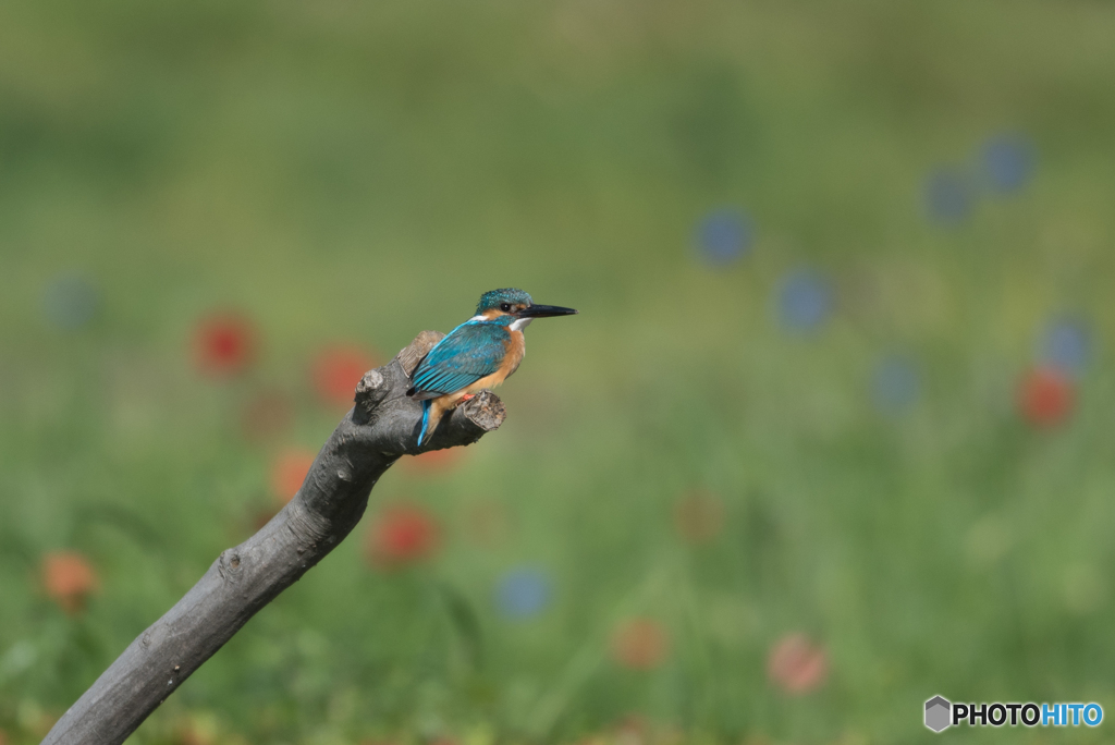 見つめてくれた♡