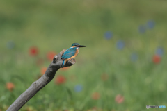 見つめてくれた♡