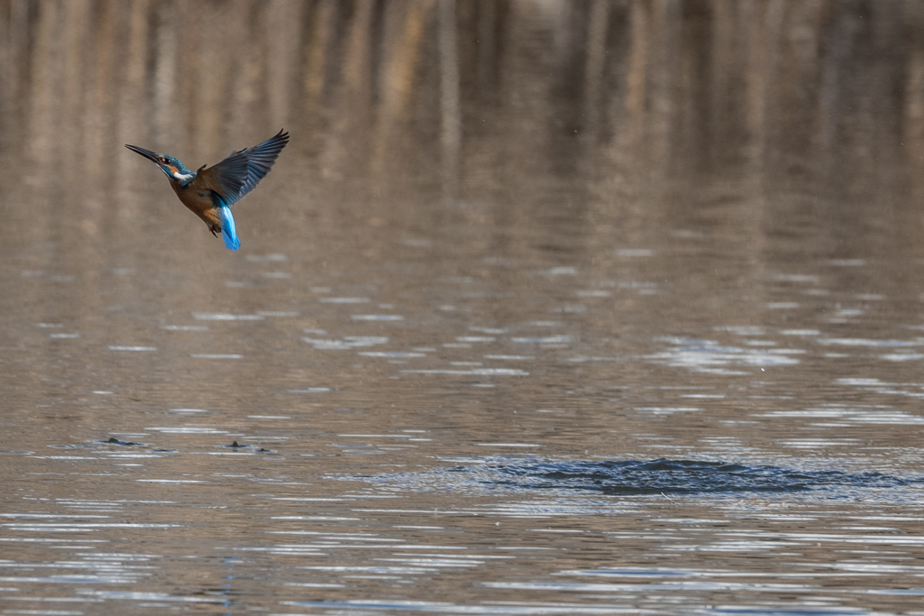 安定飛行に移行