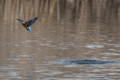 安定飛行に移行