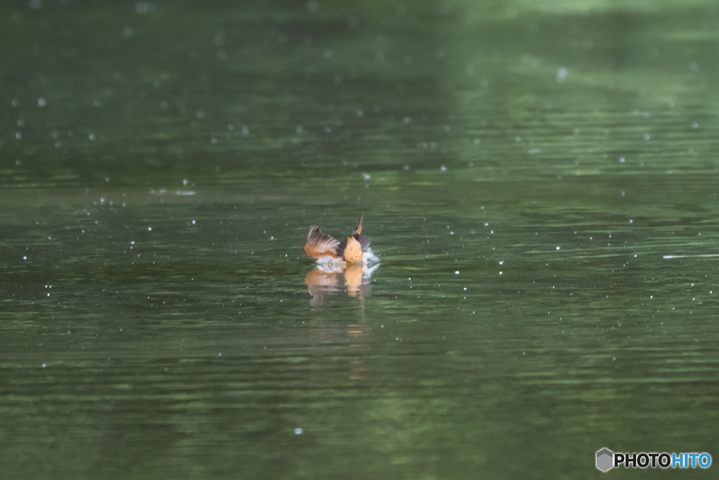 ノースプラッシュ入水