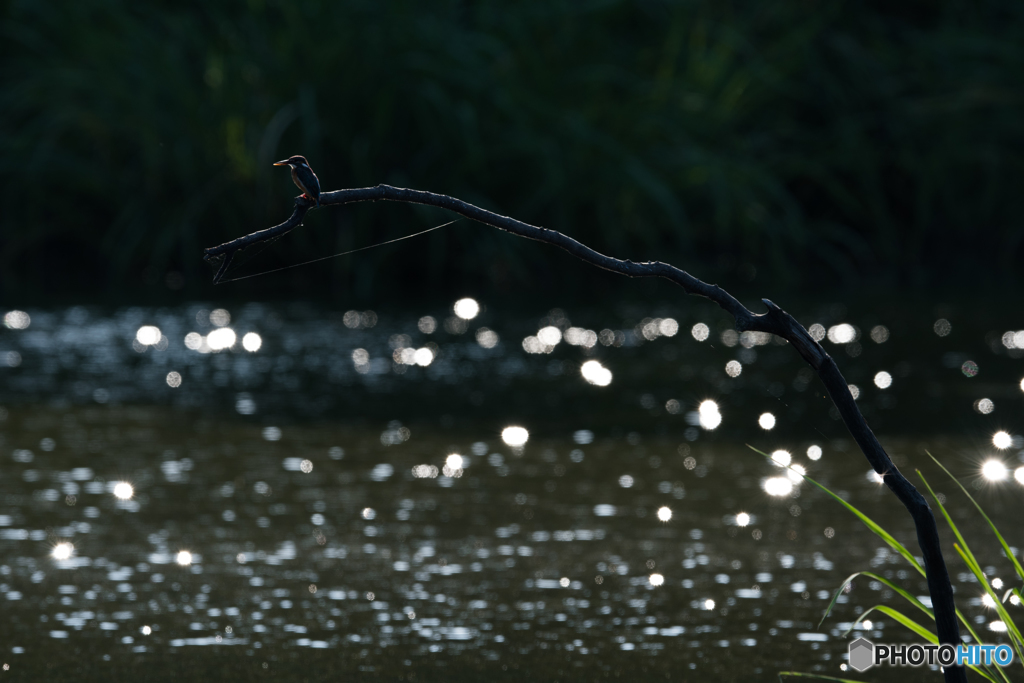 煌めきの中で佇む