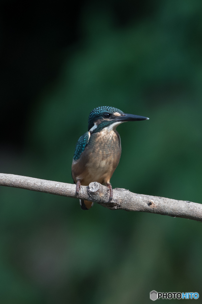 すっきり顔の若