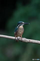 すっきり顔の若