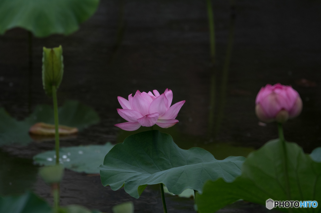 三者三様