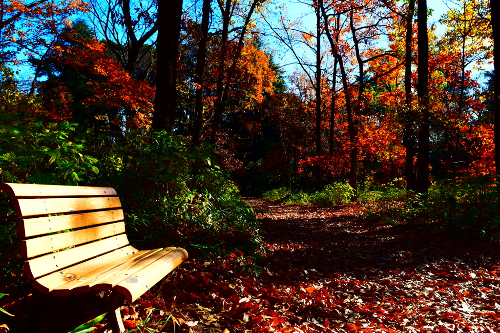 ゆっくり二人で。
