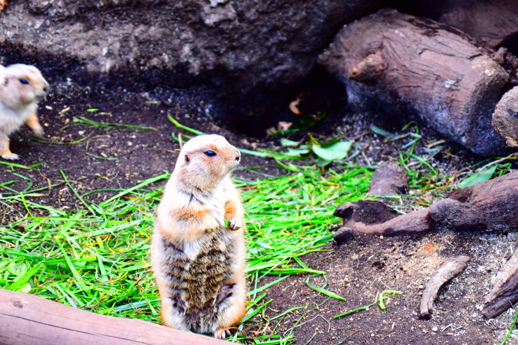 背筋ぴーーん。