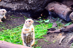 背筋ぴーーん。